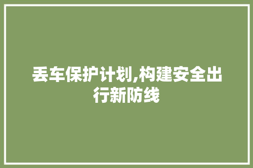 丢车保护计划,构建安全出行新防线