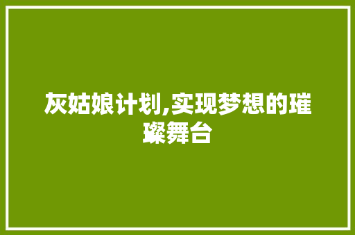 灰姑娘计划,实现梦想的璀璨舞台