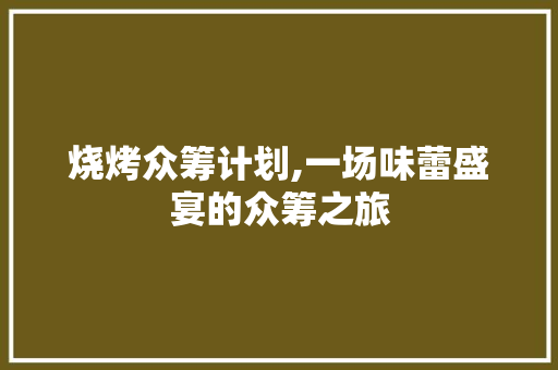 烧烤众筹计划,一场味蕾盛宴的众筹之旅