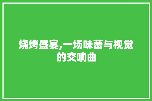 烧烤盛宴,一场味蕾与视觉的交响曲