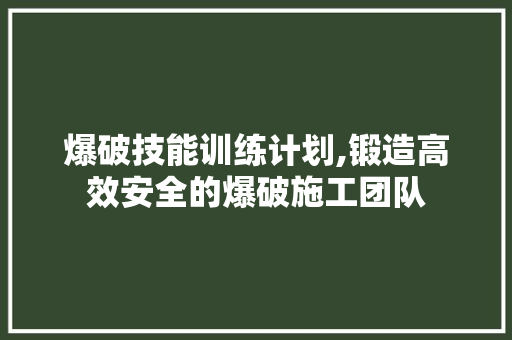 爆破技能训练计划,锻造高效安全的爆破施工团队