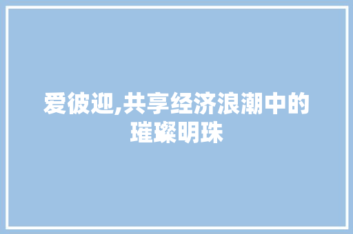 爱彼迎,共享经济浪潮中的璀璨明珠