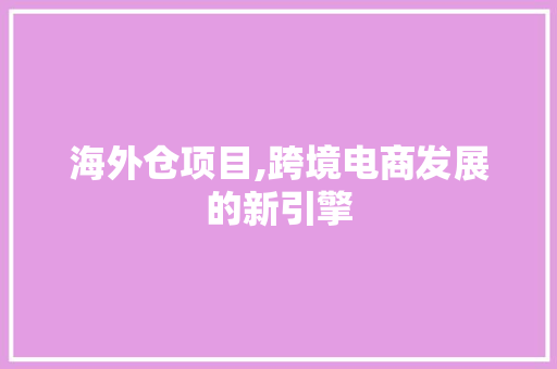 海外仓项目,跨境电商发展的新引擎