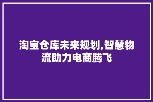 淘宝仓库未来规划,智慧物流助力电商腾飞