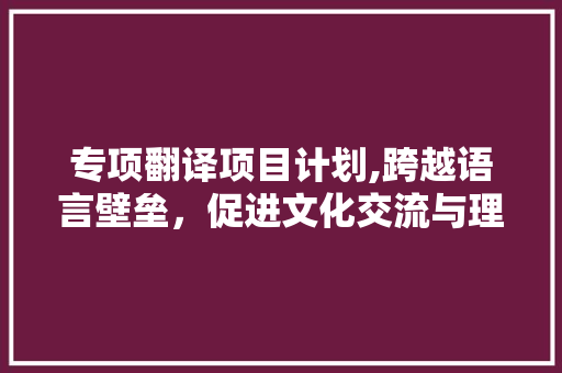 专项翻译项目计划,跨越语言壁垒，促进文化交流与理解