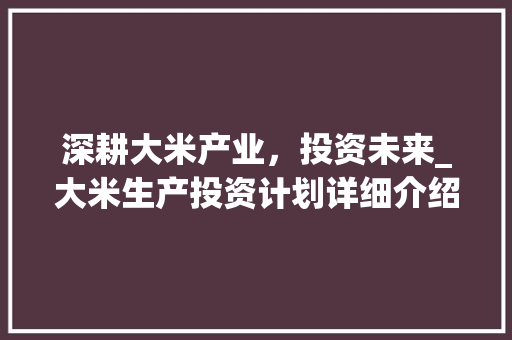 深耕大米产业，投资未来_大米生产投资计划详细介绍