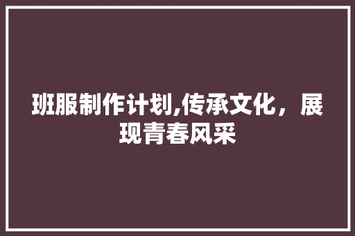 班服制作计划,传承文化，展现青春风采
