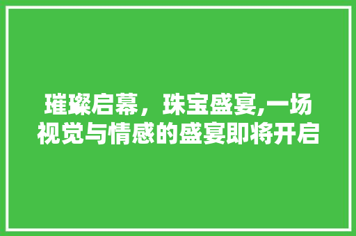 璀璨启幕，珠宝盛宴,一场视觉与情感的盛宴即将开启