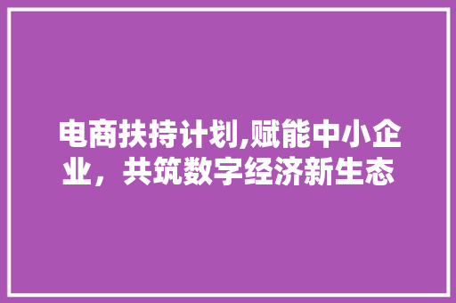 电商扶持计划,赋能中小企业，共筑数字经济新生态