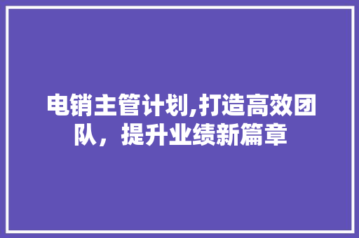 电销主管计划,打造高效团队，提升业绩新篇章