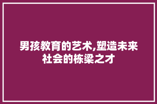男孩教育的艺术,塑造未来社会的栋梁之才