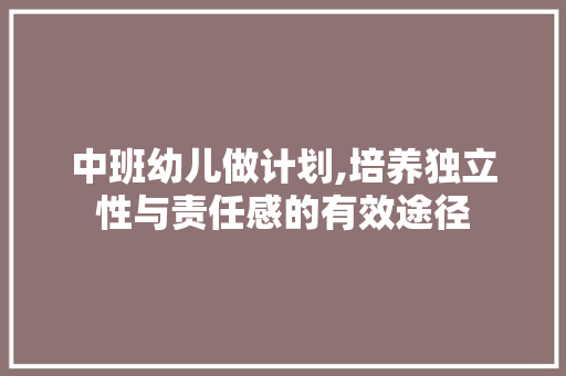 中班幼儿做计划,培养独立性与责任感的有效途径