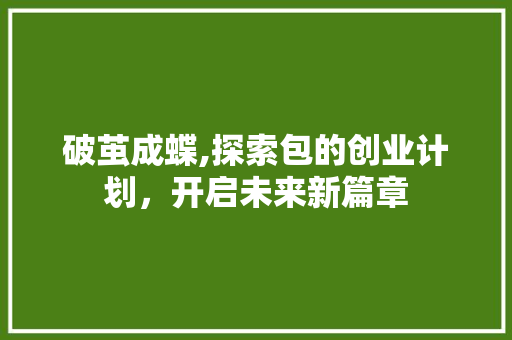 破茧成蝶,探索包的创业计划，开启未来新篇章 生活类