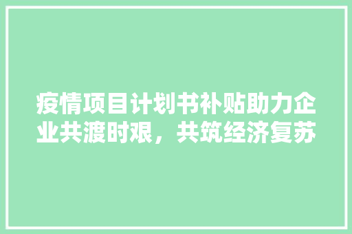 疫情项目计划书补贴助力企业共渡时艰，共筑经济复苏之路