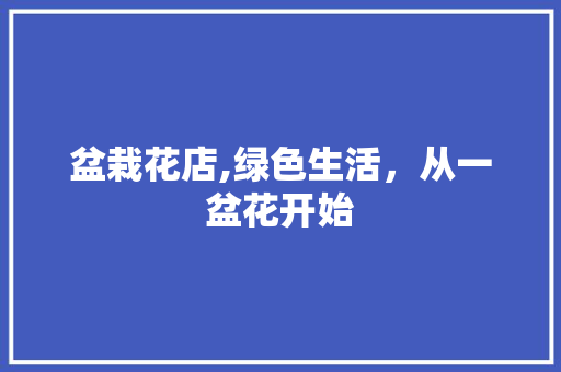 盆栽花店,绿色生活，从一盆花开始
