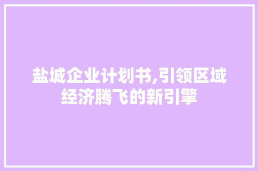 盐城企业计划书,引领区域经济腾飞的新引擎