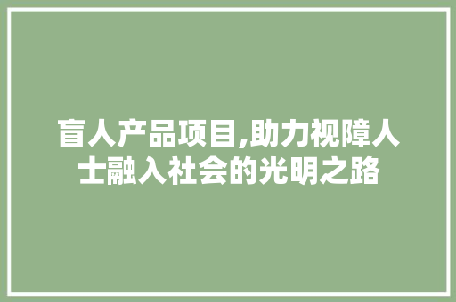 盲人产品项目,助力视障人士融入社会的光明之路