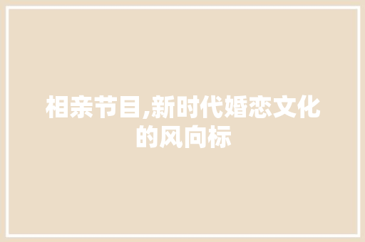 相亲节目,新时代婚恋文化的风向标