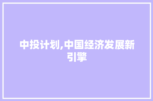 中投计划,中国经济发展新引擎