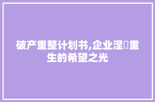 破产重整计划书,企业涅槃重生的希望之光