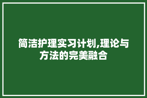 简洁护理实习计划,理论与方法的完美融合