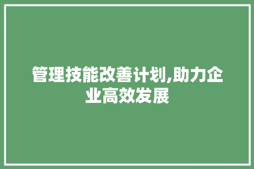 管理技能改善计划,助力企业高效发展