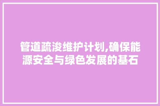 管道疏浚维护计划,确保能源安全与绿色发展的基石