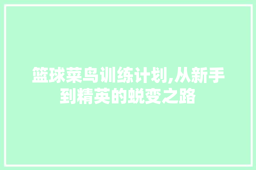 篮球菜鸟训练计划,从新手到精英的蜕变之路