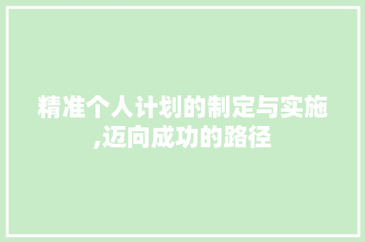 精准个人计划的制定与实施,迈向成功的路径
