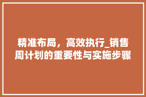精准布局，高效执行_销售周计划的重要性与实施步骤 工作报告