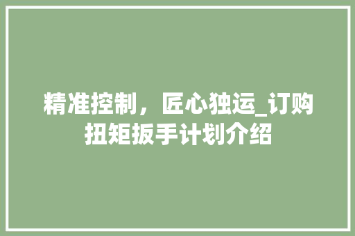 精准控制，匠心独运_订购扭矩扳手计划介绍