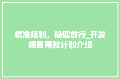 精准规划，稳健前行_开发项目用款计划介绍