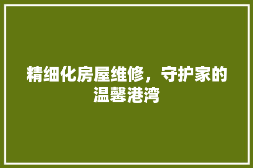 精细化房屋维修，守护家的温馨港湾
