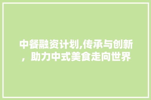 中餐融资计划,传承与创新，助力中式美食走向世界