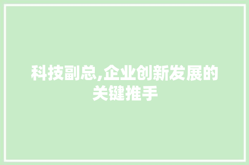 科技副总,企业创新发展的关键推手
