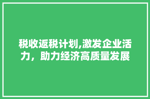 税收返税计划,激发企业活力，助力经济高质量发展