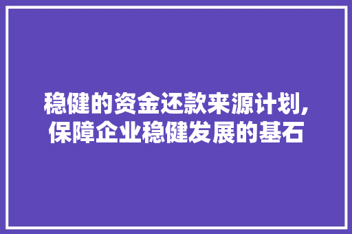 稳健的资金还款来源计划,保障企业稳健发展的基石
