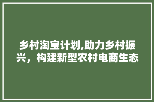 乡村淘宝计划,助力乡村振兴，构建新型农村电商生态