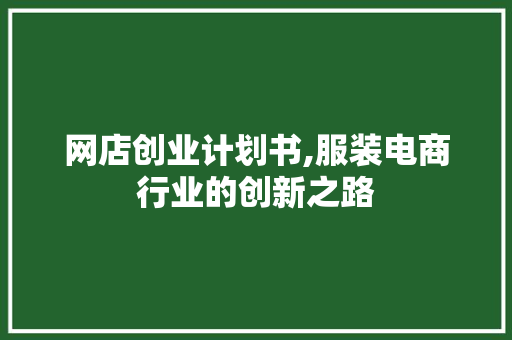 网店创业计划书,服装电商行业的创新之路