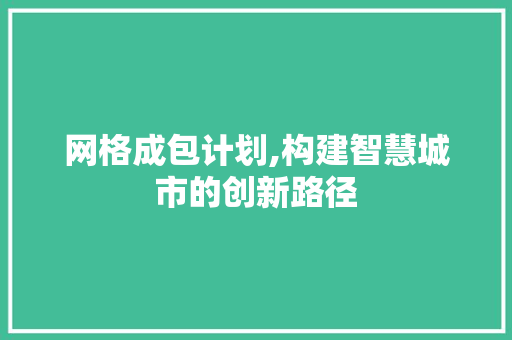 网格成包计划,构建智慧城市的创新路径