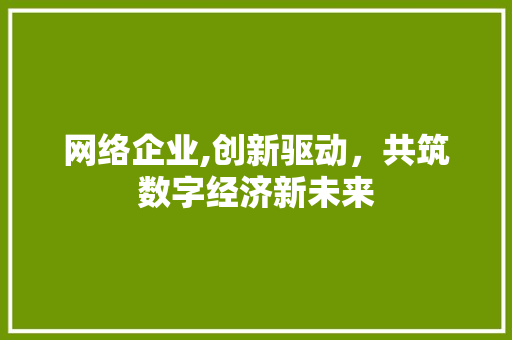 网络企业,创新驱动，共筑数字经济新未来