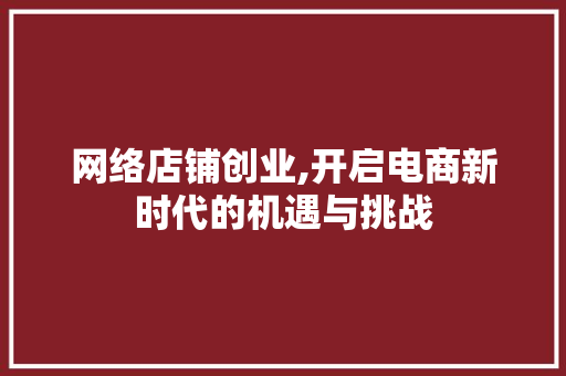 网络店铺创业,开启电商新时代的机遇与挑战