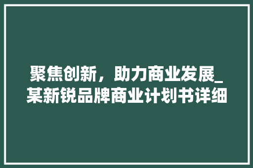 聚焦创新，助力商业发展_某新锐品牌商业计划书详细介绍