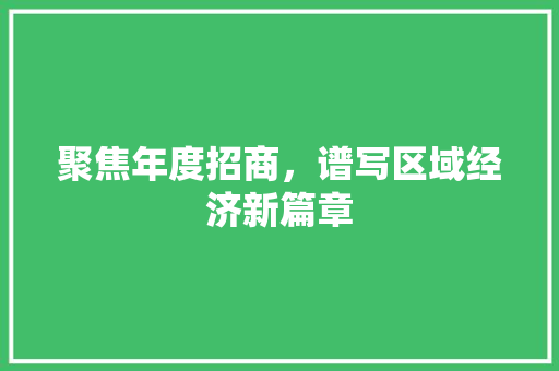 聚焦年度招商，谱写区域经济新篇章
