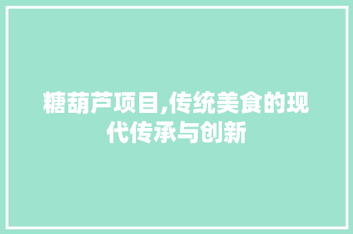 糖葫芦项目,传统美食的现代传承与创新
