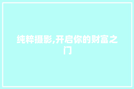 纯粹摄影,开启你的财富之门