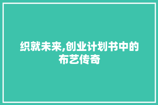 织就未来,创业计划书中的布艺传奇