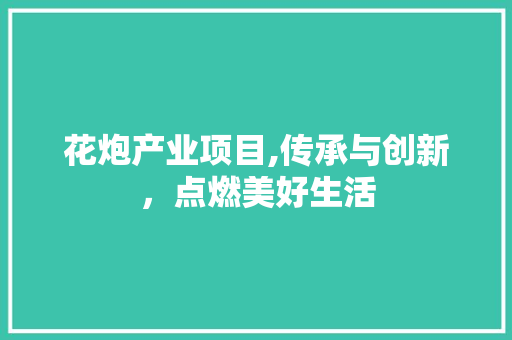 花炮产业项目,传承与创新，点燃美好生活