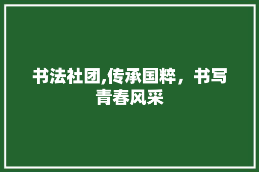 书法社团,传承国粹，书写青春风采