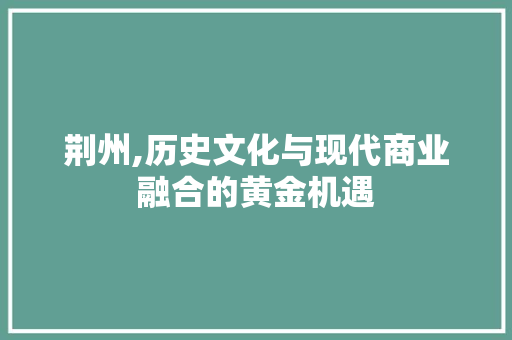 荆州,历史文化与现代商业融合的黄金机遇